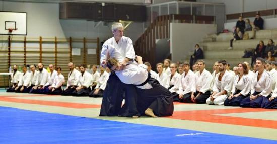 Photo aïkido Estavar 66 dojo self-defense arts martiaux accessibles à tous